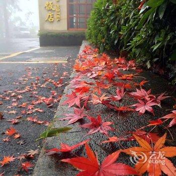 德清莫干山皇后饭店酒店提供图片