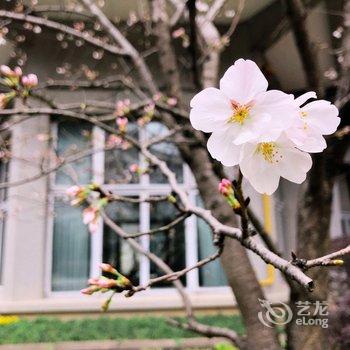 蝶来浙江宾馆酒店提供图片