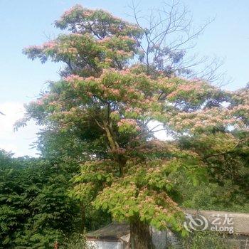 天水恒源农家小院酒店提供图片