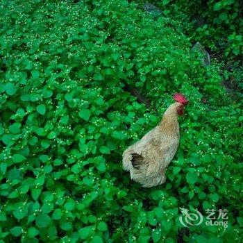 栾川重渡沟锦绣山庄酒店提供图片