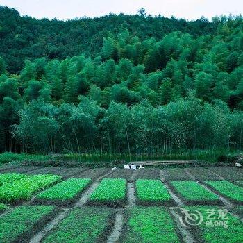 栾川重渡沟锦绣山庄酒店提供图片