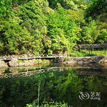 泾县绿林谷木屋度假村酒店提供图片