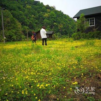 泾县绿林谷木屋度假村酒店提供图片