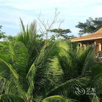 七仙岭雨林仙境温泉度假酒店(保亭)酒店提供图片