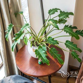 成都天家普通公寓酒店提供图片