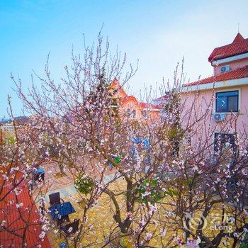 青岛嗨家全海景度假别墅酒店提供图片