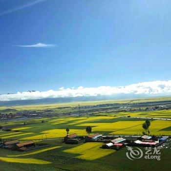 门源十里春风油菜花客栈酒店提供图片