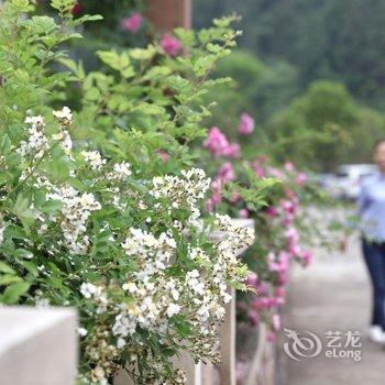 杭州千岛湖采蝶驿站酒店提供图片