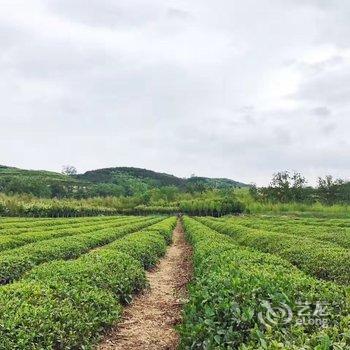 青岛ourhome客栈酒店提供图片