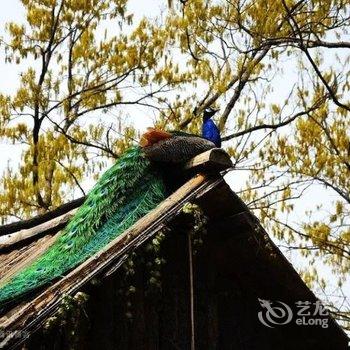 连岛靓潮海景宾馆酒店提供图片