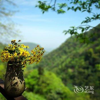 峨眉山半山居酒店提供图片