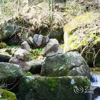 安吉云半间野奢精舍度假酒店酒店提供图片