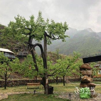 天津山野基地木屋酒店提供图片