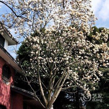 青城山鹤鸣山庄养怡居酒店提供图片