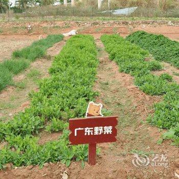 三亚南田温泉好汉坡国际度假酒店酒店提供图片