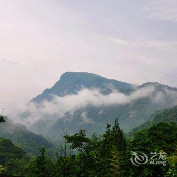 都江堰青城后山紫钰山庄酒店提供图片