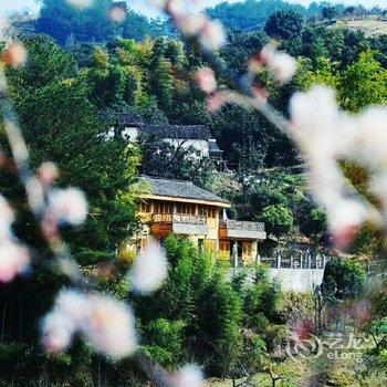 千岛湖青溪山居民宿酒店提供图片