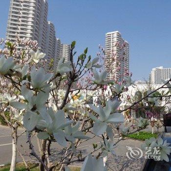 葫芦岛山海之恋海景公寓酒店提供图片