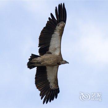 阿坝州四姑娘山鑫玥酒店酒店提供图片