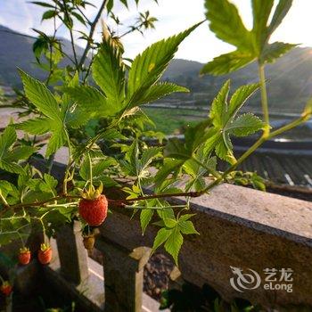 杭州桐庐花间堂民宿酒店提供图片