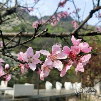 天堂寨洄龙潭隐溪度假酒店酒店提供图片