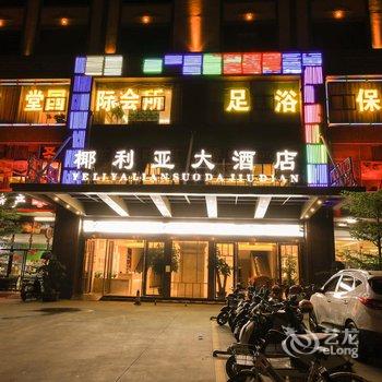 海口椰利亚大酒店高铁东站店酒店提供图片