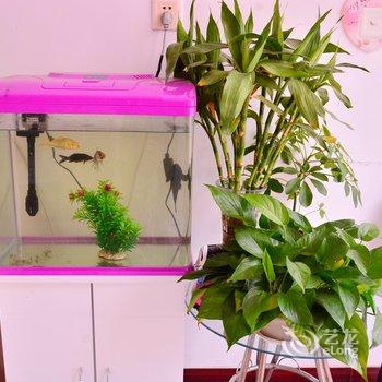 莱芜市馨悦宾馆酒店提供图片