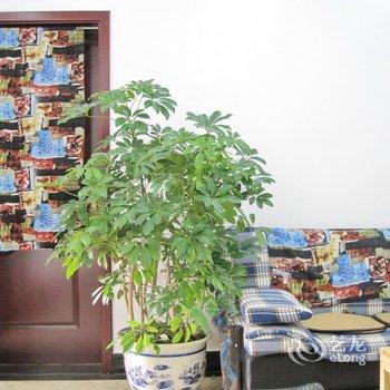郑州未来时光精致青年客栈酒店提供图片