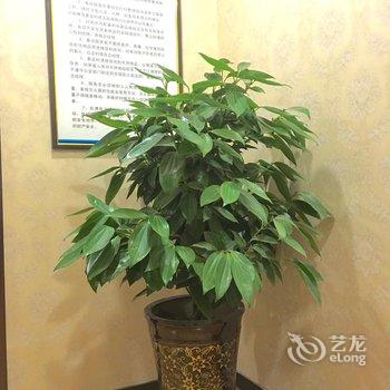 邯郸锦荣快捷宾馆(原韩逸轩快捷酒店)酒店提供图片