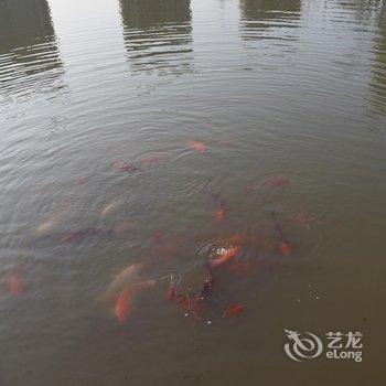 葫芦岛绥中佳兆业浪淘沙海景公寓酒店提供图片