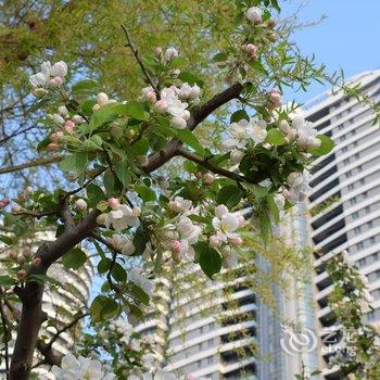 葫芦岛绥中佳兆业浪淘沙海景公寓酒店提供图片