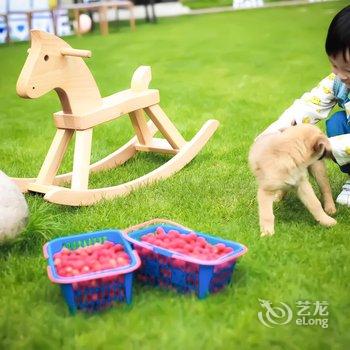 建德明月松间野奢度假精品民宿酒店提供图片