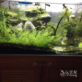 西昌福雨金舟主题客栈酒店提供图片