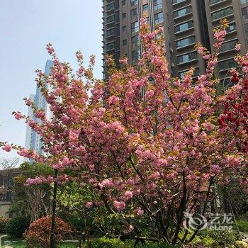 青岛小美美的家公寓(小港一路分店)酒店提供图片