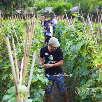 七仙岭鹤川温泉酒店酒店提供图片