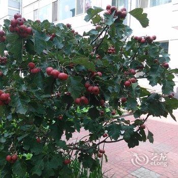 平遥古城老兵之家酒店提供图片