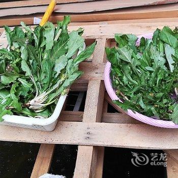 普者黑逸香阁客栈酒店提供图片