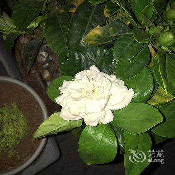 平潭辰星民宿阁酒店提供图片