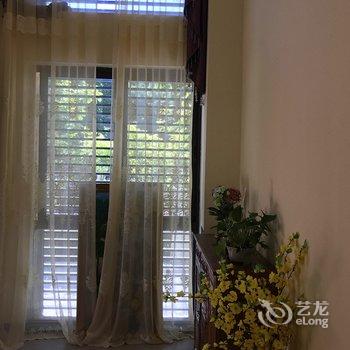 Q+�������굺���������ٺ������Ƶ��ṩͼƬ