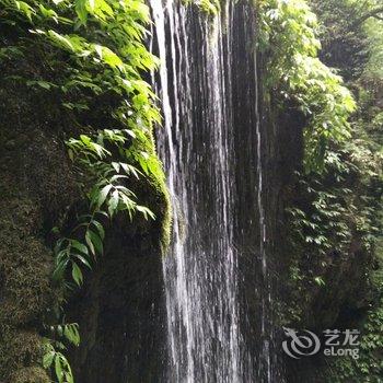 青城山忆楠客栈酒店提供图片