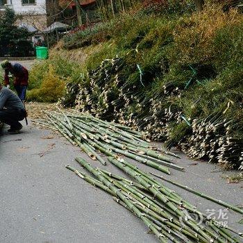 花筑·莫干山山谷别墅酒店提供图片