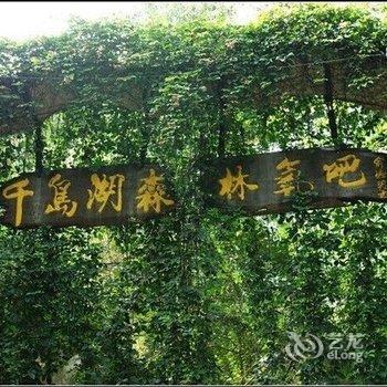千岛湖茶文化民宿酒店提供图片