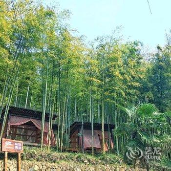 莫干山后坞生活农舍度假民宿酒店提供图片