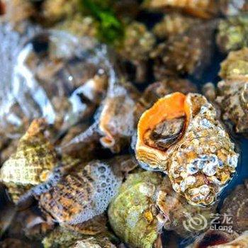 绥中东戴河海韵星城公寓酒店提供图片