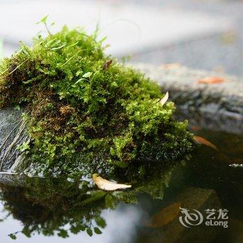 武夷山悦武夷茶生活美学酒店酒店提供图片