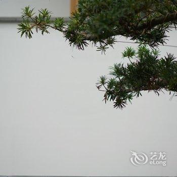 武夷山悦武夷茶生活美学酒店酒店提供图片