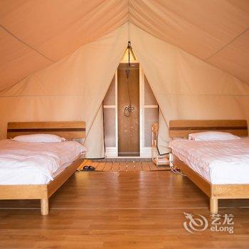 牛路野营度假村(上海海湾国家森林公园店)酒店提供图片