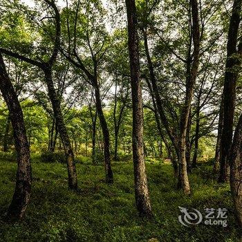 宁国乡土人家自驾游营地用户上传图片