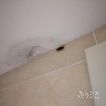 福州鑫潮商务酒店用户上传图片