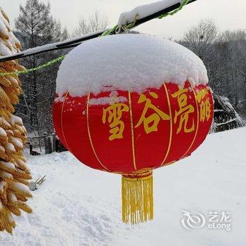 哈尔滨雪谷亮丽特色民宿酒店提供图片